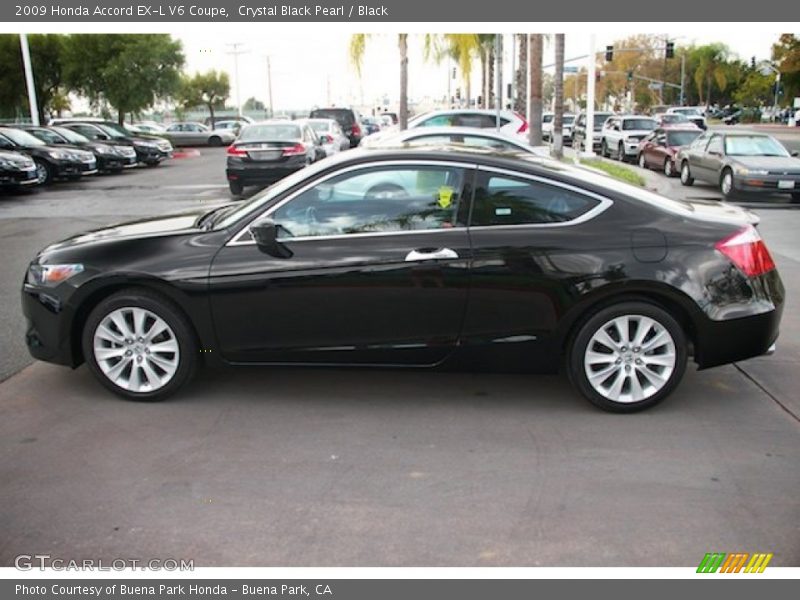 Crystal Black Pearl / Black 2009 Honda Accord EX-L V6 Coupe