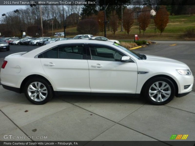 White Platinum Tri-Coat / Charcoal Black 2011 Ford Taurus SEL