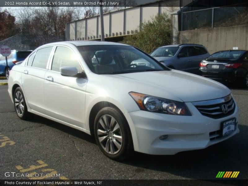 White Orchid Pearl / Ivory 2012 Honda Accord EX-L V6 Sedan