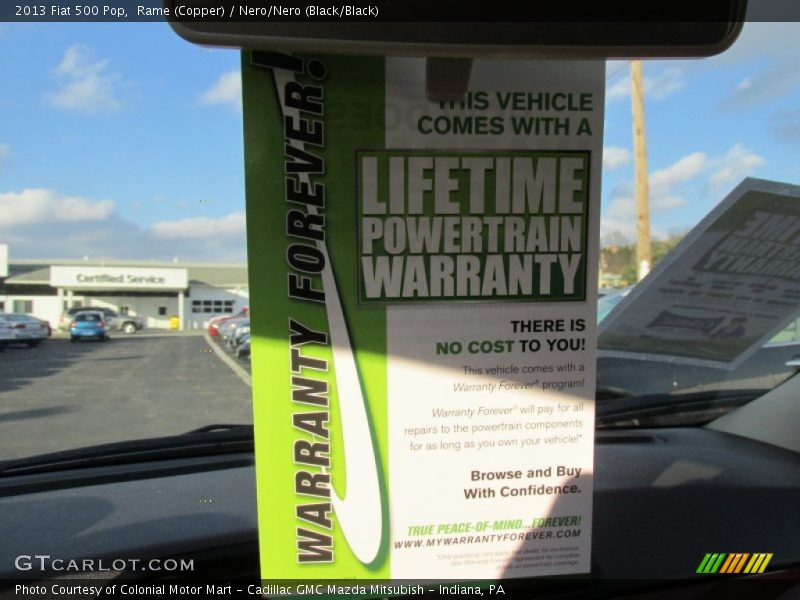 Rame (Copper) / Nero/Nero (Black/Black) 2013 Fiat 500 Pop