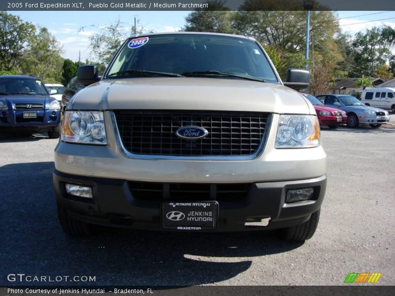 Pueblo Gold Metallic / Medium Parchment 2005 Ford Expedition XLT