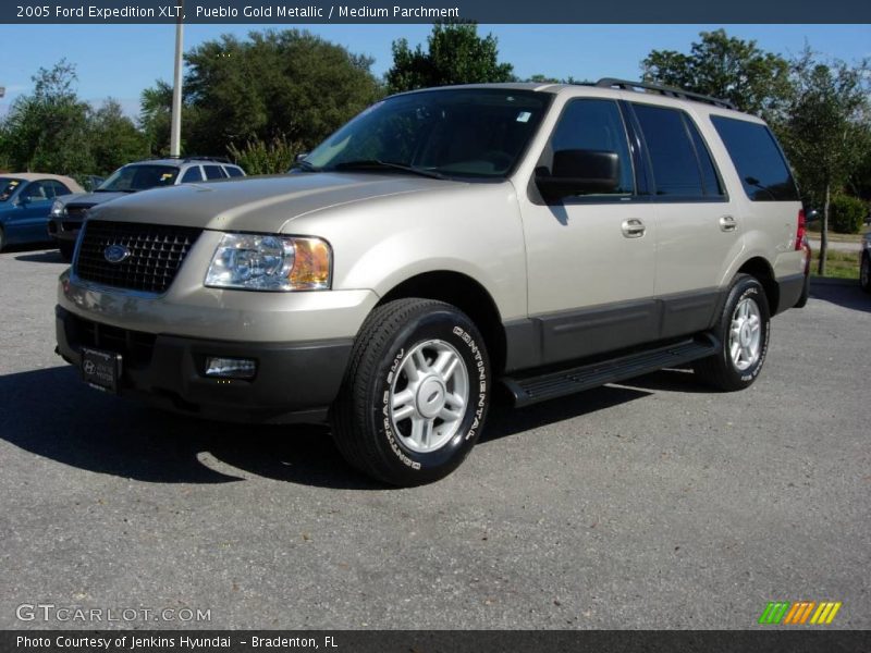Pueblo Gold Metallic / Medium Parchment 2005 Ford Expedition XLT