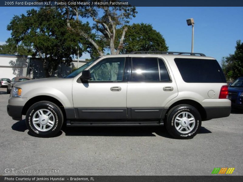 Pueblo Gold Metallic / Medium Parchment 2005 Ford Expedition XLT