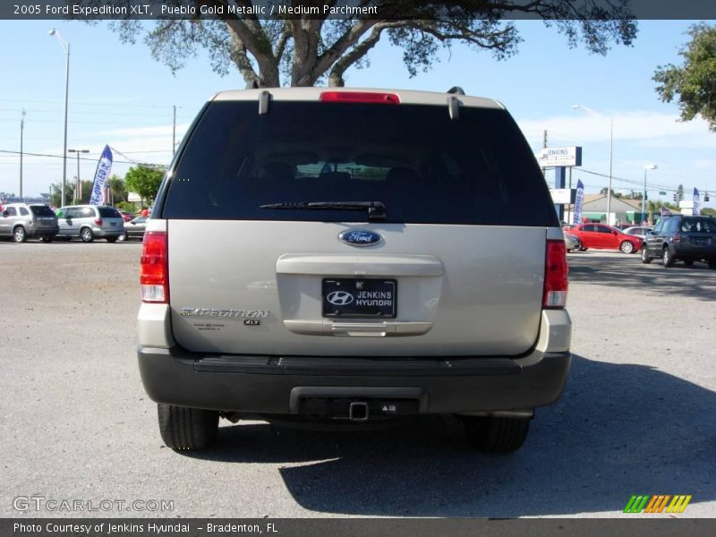 Pueblo Gold Metallic / Medium Parchment 2005 Ford Expedition XLT