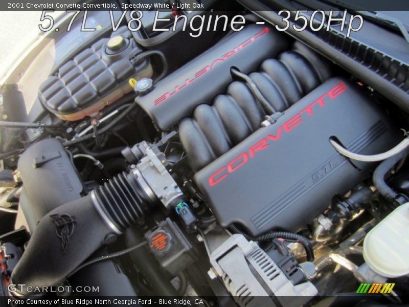 Speedway White / Light Oak 2001 Chevrolet Corvette Convertible