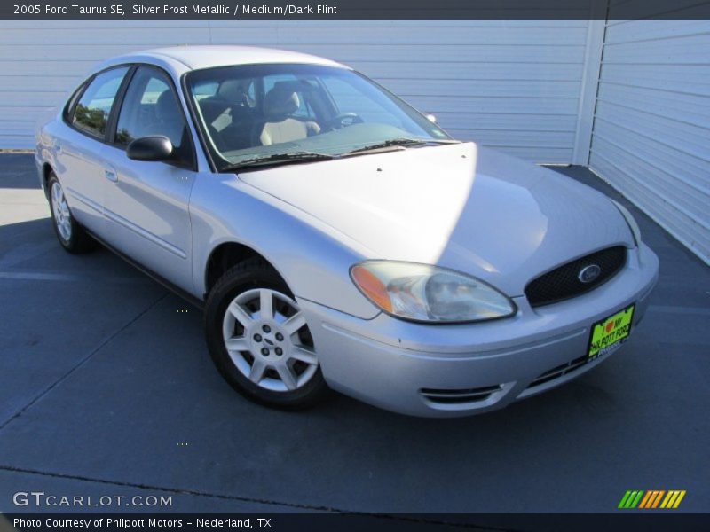Silver Frost Metallic / Medium/Dark Flint 2005 Ford Taurus SE