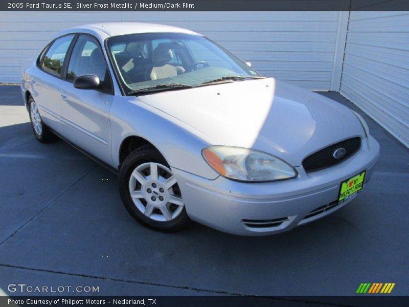 Silver Frost Metallic / Medium/Dark Flint 2005 Ford Taurus SE