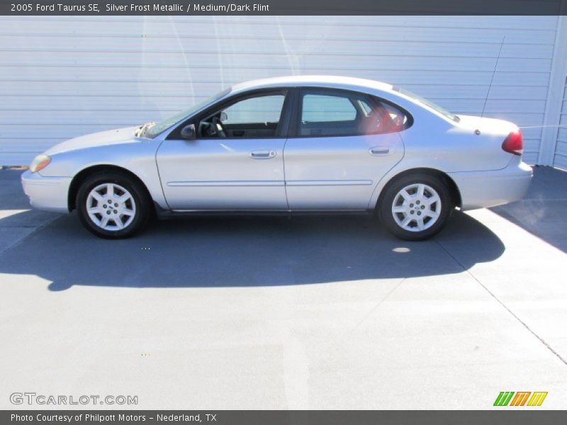 Silver Frost Metallic / Medium/Dark Flint 2005 Ford Taurus SE