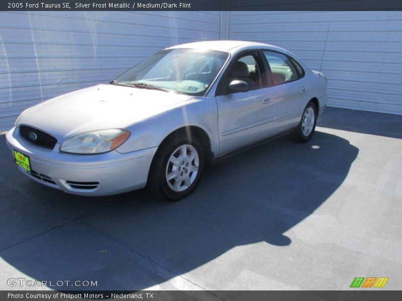 Silver Frost Metallic / Medium/Dark Flint 2005 Ford Taurus SE