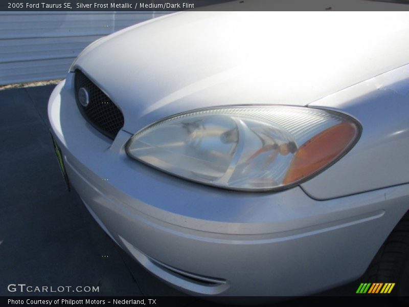 Silver Frost Metallic / Medium/Dark Flint 2005 Ford Taurus SE