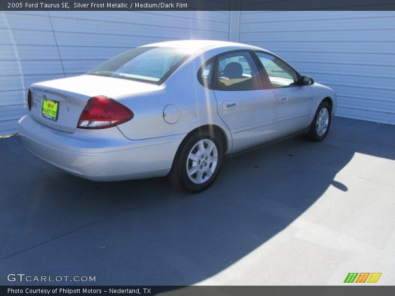 Silver Frost Metallic / Medium/Dark Flint 2005 Ford Taurus SE