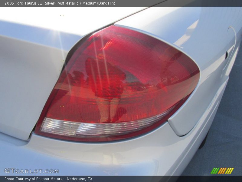 Silver Frost Metallic / Medium/Dark Flint 2005 Ford Taurus SE