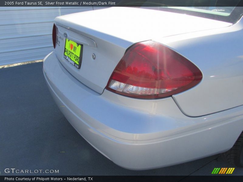Silver Frost Metallic / Medium/Dark Flint 2005 Ford Taurus SE