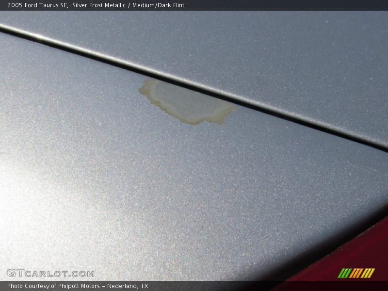 Silver Frost Metallic / Medium/Dark Flint 2005 Ford Taurus SE