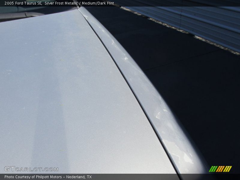 Silver Frost Metallic / Medium/Dark Flint 2005 Ford Taurus SE