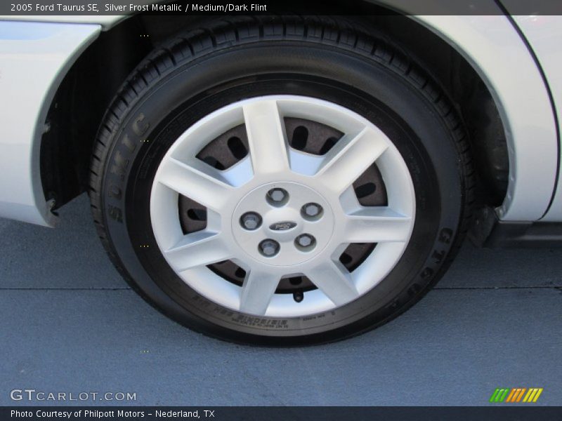 Silver Frost Metallic / Medium/Dark Flint 2005 Ford Taurus SE