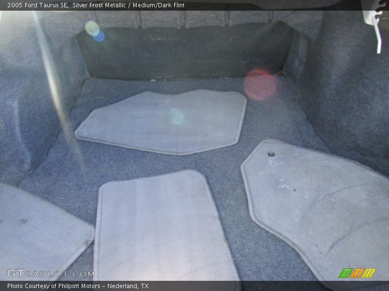 Silver Frost Metallic / Medium/Dark Flint 2005 Ford Taurus SE