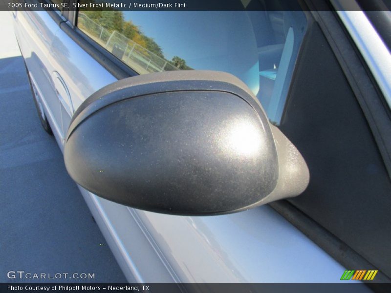 Silver Frost Metallic / Medium/Dark Flint 2005 Ford Taurus SE