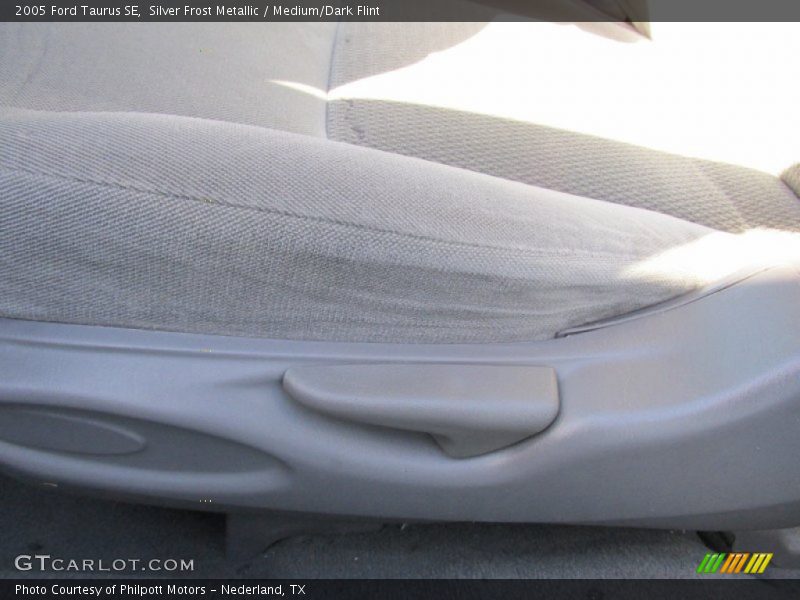 Silver Frost Metallic / Medium/Dark Flint 2005 Ford Taurus SE