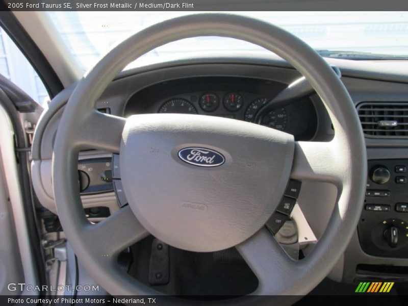 Silver Frost Metallic / Medium/Dark Flint 2005 Ford Taurus SE