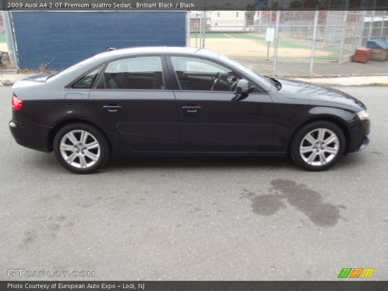 Brilliant Black / Black 2009 Audi A4 2.0T Premium quattro Sedan