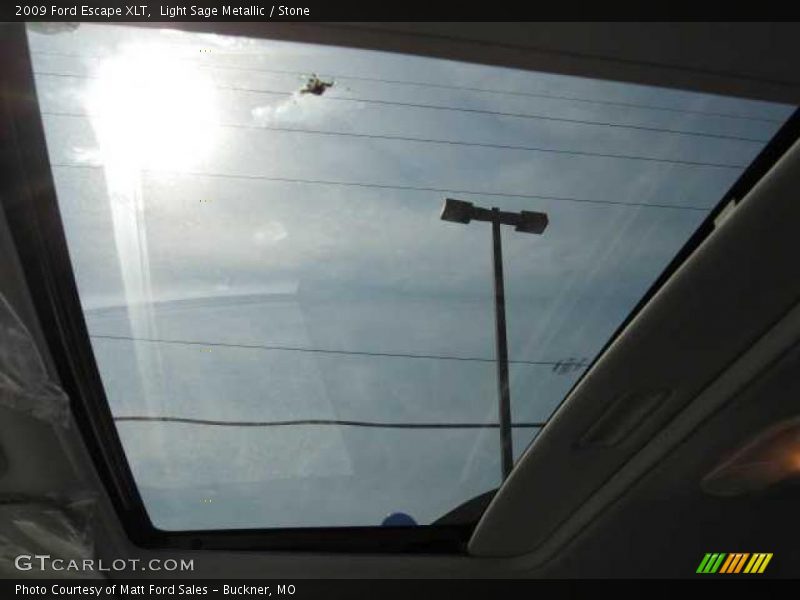 Light Sage Metallic / Stone 2009 Ford Escape XLT