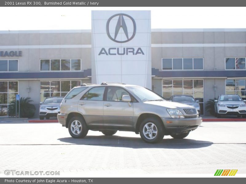 Burnished Gold Metallic / Ivory 2001 Lexus RX 300