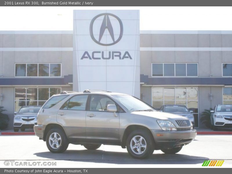 Burnished Gold Metallic / Ivory 2001 Lexus RX 300