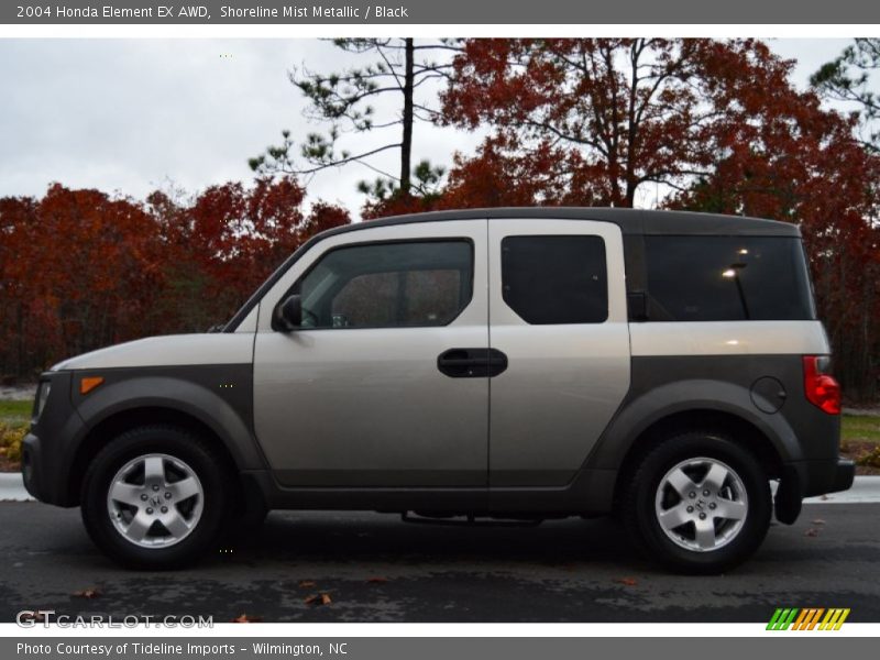  2004 Element EX AWD Shoreline Mist Metallic