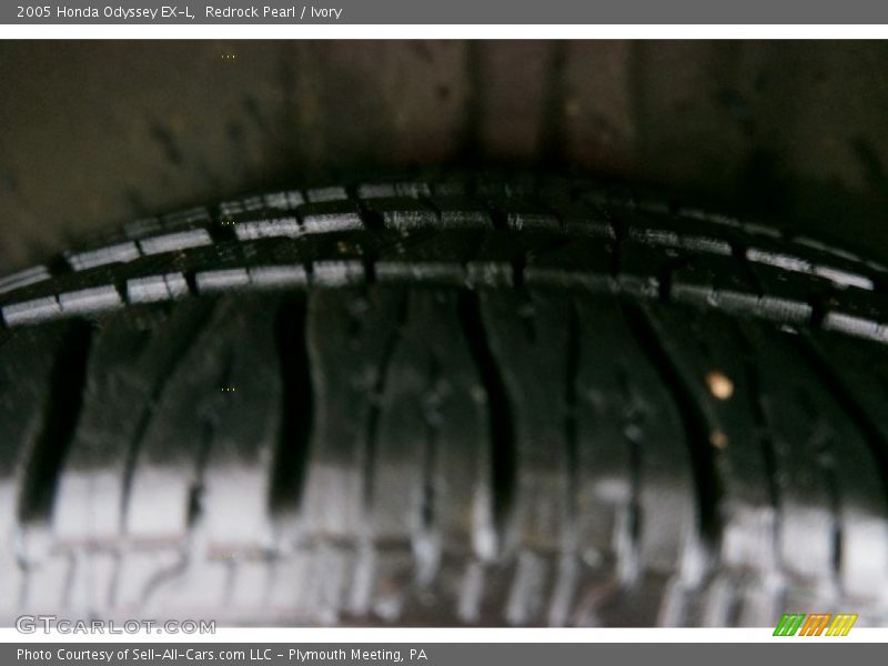 Redrock Pearl / Ivory 2005 Honda Odyssey EX-L