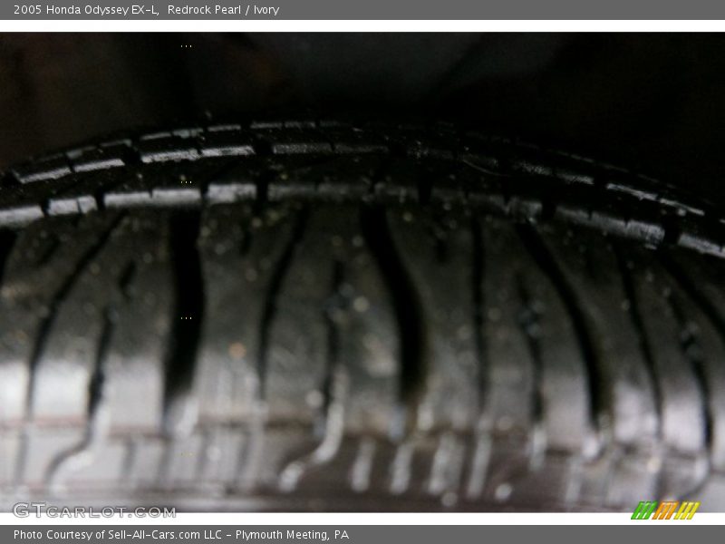 Redrock Pearl / Ivory 2005 Honda Odyssey EX-L