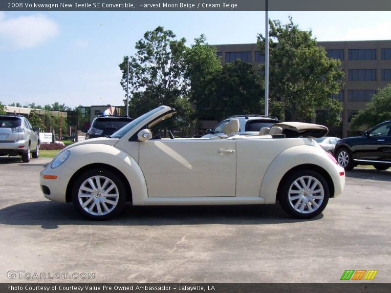 Harvest Moon Beige / Cream Beige 2008 Volkswagen New Beetle SE Convertible