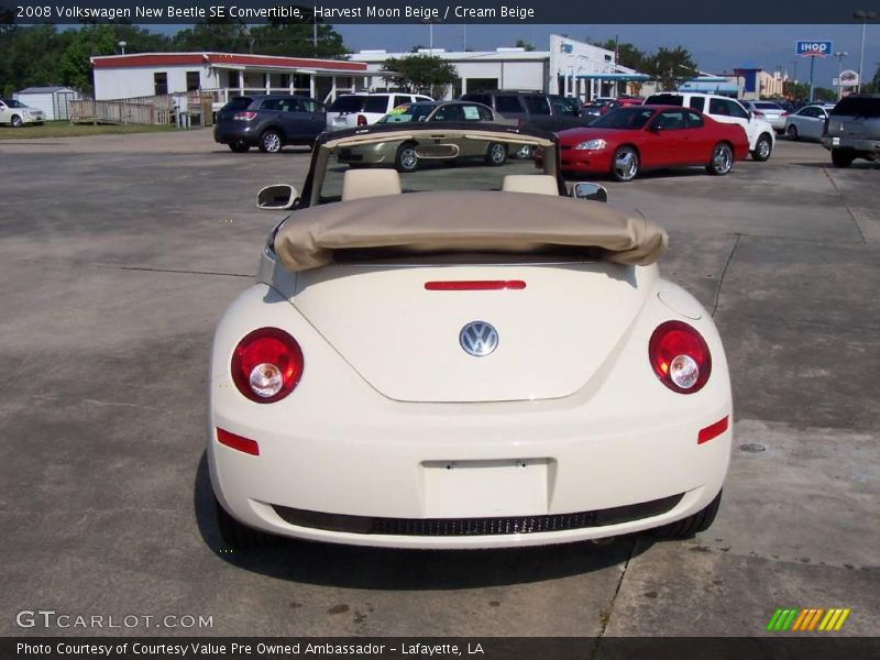 Harvest Moon Beige / Cream Beige 2008 Volkswagen New Beetle SE Convertible