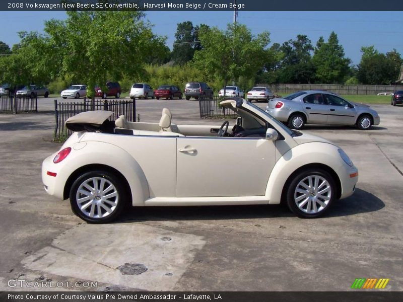 Harvest Moon Beige / Cream Beige 2008 Volkswagen New Beetle SE Convertible