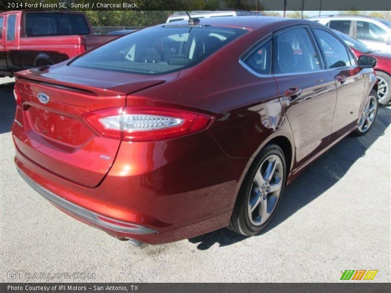 Sunset / Charcoal Black 2014 Ford Fusion SE