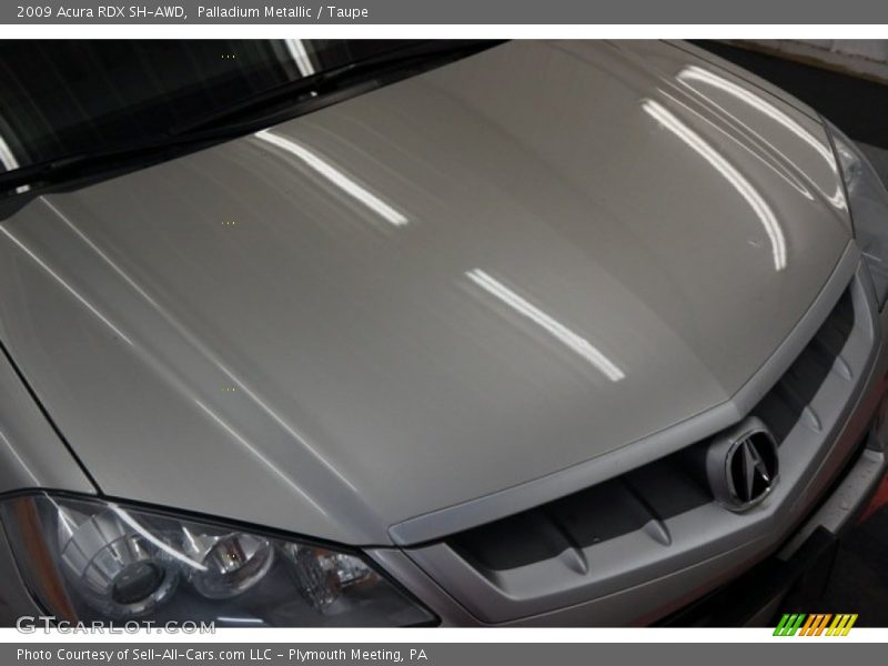 Palladium Metallic / Taupe 2009 Acura RDX SH-AWD