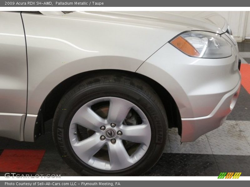 Palladium Metallic / Taupe 2009 Acura RDX SH-AWD
