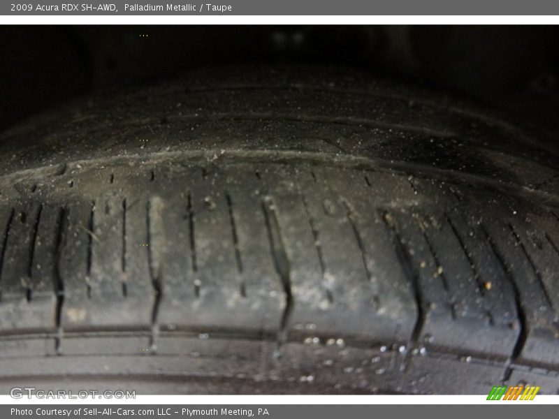 Palladium Metallic / Taupe 2009 Acura RDX SH-AWD