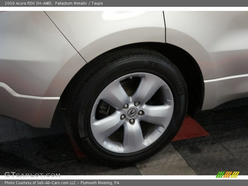 Palladium Metallic / Taupe 2009 Acura RDX SH-AWD