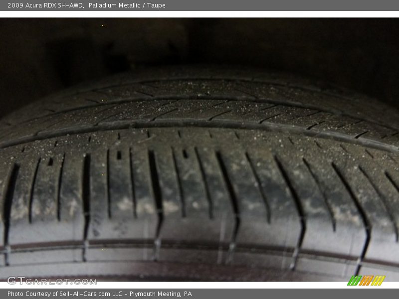 Palladium Metallic / Taupe 2009 Acura RDX SH-AWD