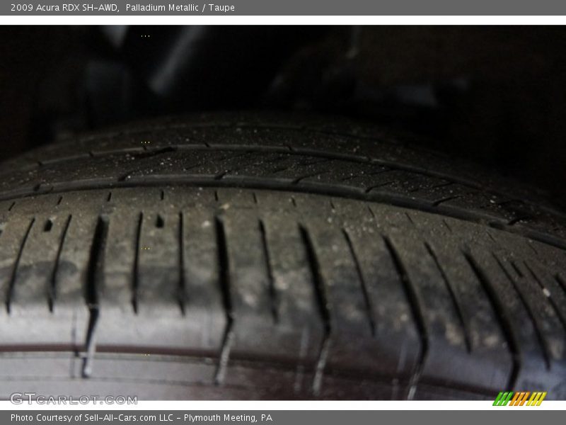 Palladium Metallic / Taupe 2009 Acura RDX SH-AWD