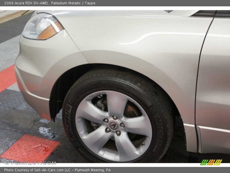 Palladium Metallic / Taupe 2009 Acura RDX SH-AWD