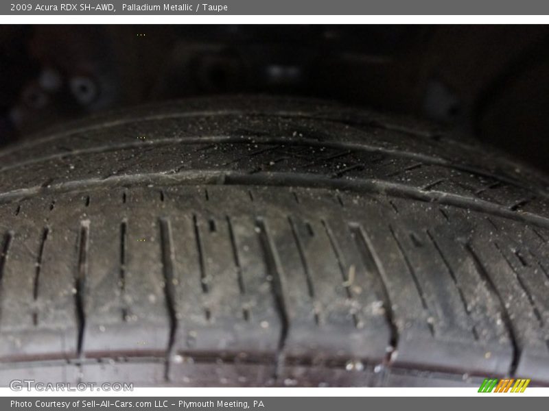 Palladium Metallic / Taupe 2009 Acura RDX SH-AWD