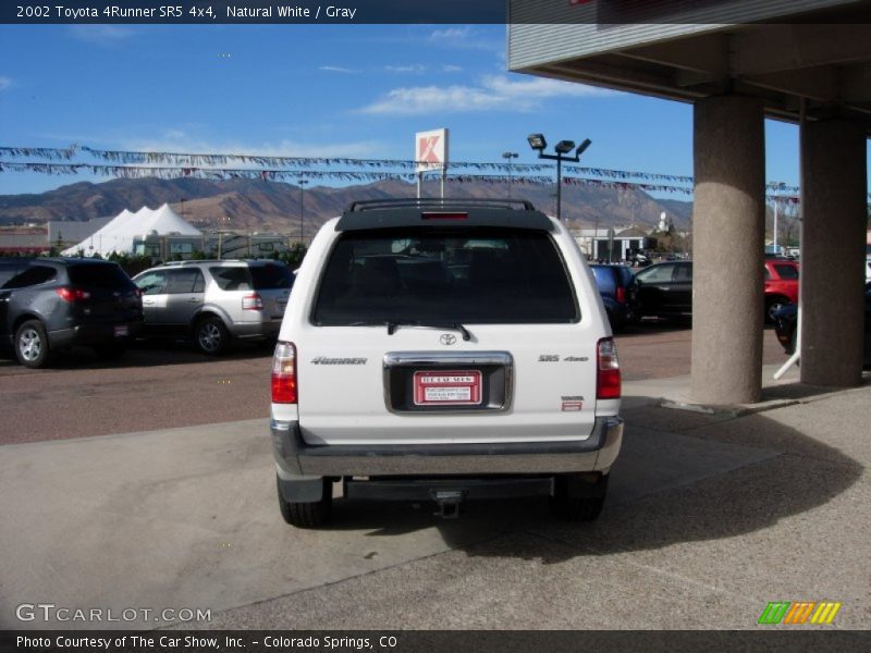 Natural White / Gray 2002 Toyota 4Runner SR5 4x4