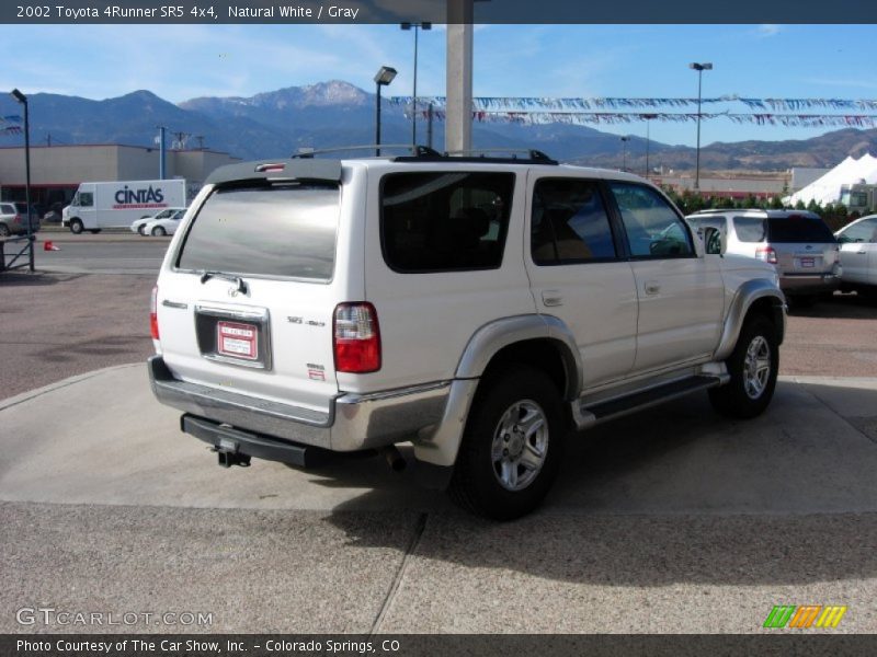Natural White / Gray 2002 Toyota 4Runner SR5 4x4