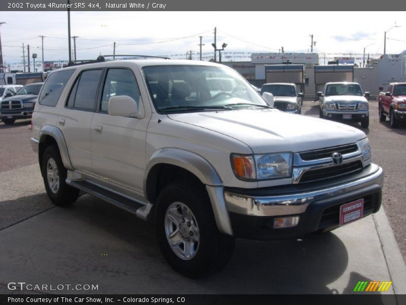 Natural White / Gray 2002 Toyota 4Runner SR5 4x4