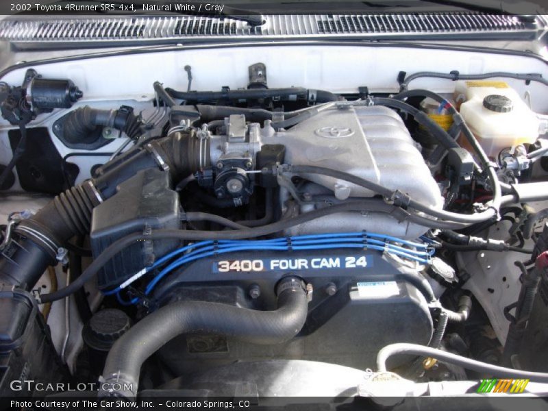 Natural White / Gray 2002 Toyota 4Runner SR5 4x4