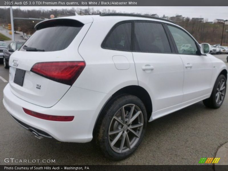 Ibis White / Black/Alabaster White 2015 Audi Q5 3.0 TDI Premium Plus quattro