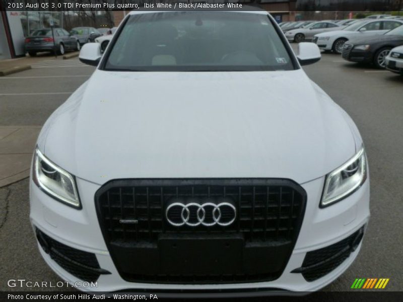 Ibis White / Black/Alabaster White 2015 Audi Q5 3.0 TDI Premium Plus quattro