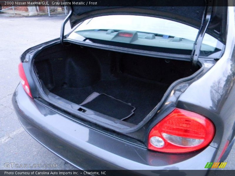 Gray Lustre Metallic / Frost 2000 Nissan Maxima GLE